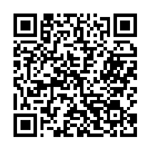Link to your fundraiser QRCode - Fundraising