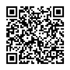 Link to your fundraiser QRCode - Fundraising