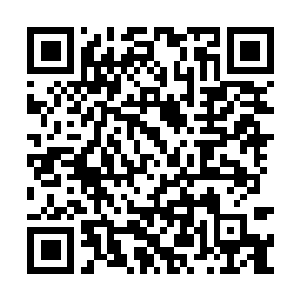 Link to your fundraiser QRCode - Fundraising