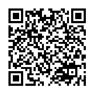 Link to your fundraiser QRCode - Fundraising