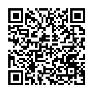 Link to your fundraiser QRCode - Fundraising