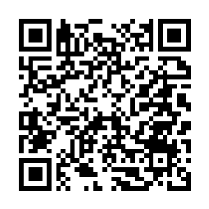 Link to your fundraiser QRCode - Fundraising