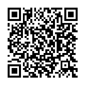 Link to your fundraiser QRCode - Fundraising