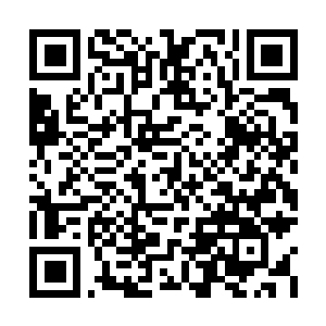 Link to your fundraiser QRCode - Fundraising