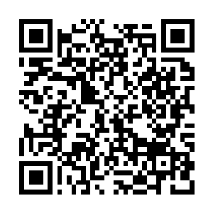 Link to your fundraiser QRCode - Fundraising