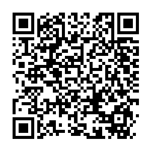 Link to your fundraiser QRCode - Fundraising