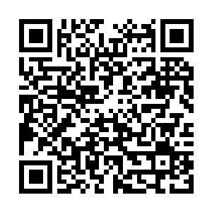 Link to your fundraiser QRCode - Fundraising