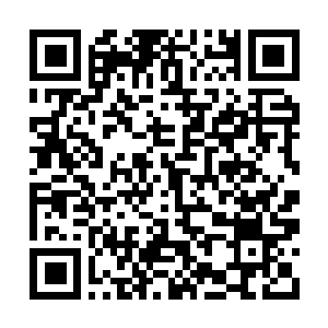 Link to your fundraiser QRCode - Fundraising