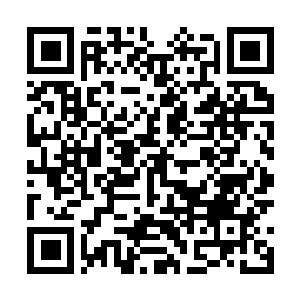 Link to your fundraiser QRCode - Fundraising