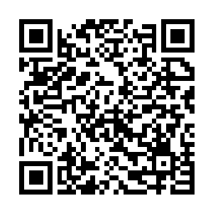 Link to your fundraiser QRCode - Fundraising