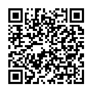 Link to your fundraiser QRCode - Fundraising