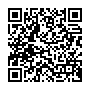 Link to your fundraiser QRCode - Fundraising