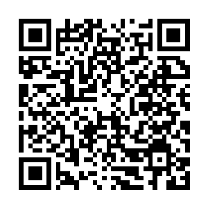 Link to your fundraiser QRCode - Fundraising