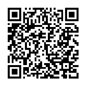 Link to your fundraiser QRCode - Fundraising