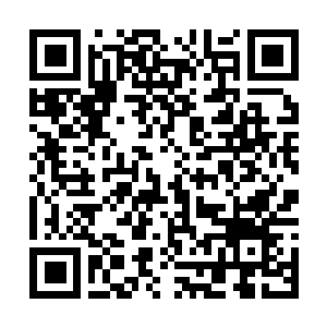 Link to your fundraiser QRCode - Fundraising