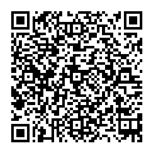 Link to your fundraiser QRCode - Fundraising