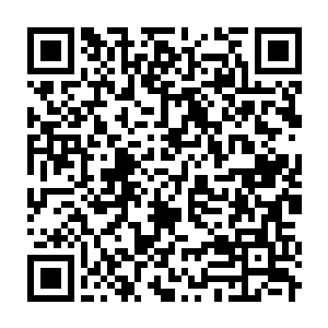 Link to your fundraiser QRCode - Fundraising