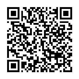 Link to your fundraiser QRCode - Fundraising
