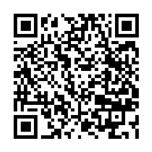 Link to your fundraiser QRCode - Fundraising