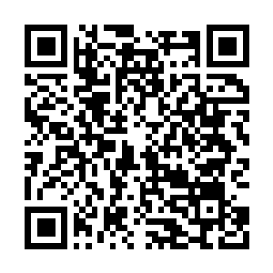 Link to your fundraiser QRCode - Fundraising