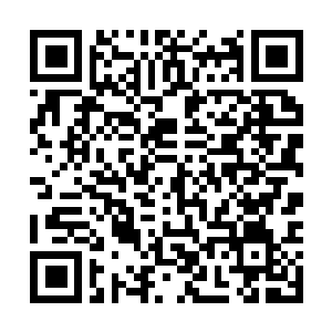 Link to your fundraiser QRCode - Fundraising