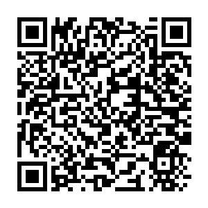 Link to your fundraiser QRCode - Fundraising