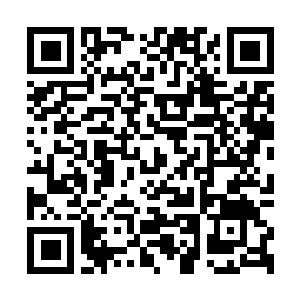 Link to your fundraiser QRCode - Fundraising