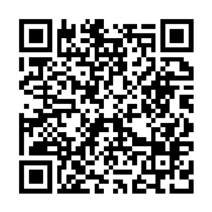 Link to your fundraiser QRCode - Fundraising