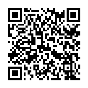 Link to your fundraiser QRCode - Fundraising