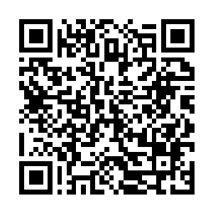 Link to your fundraiser QRCode - Fundraising