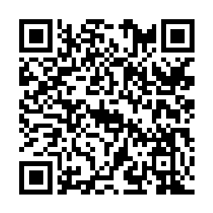 Link to your fundraiser QRCode - Fundraising