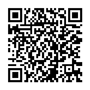 Link to your fundraiser QRCode - Fundraising