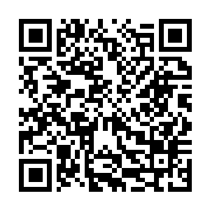 Link to your fundraiser QRCode - Fundraising