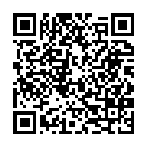Link to your fundraiser QRCode - Fundraising