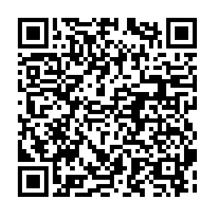 Link to your fundraiser QRCode - Fundraising