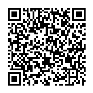 Link to your fundraiser QRCode - Fundraising
