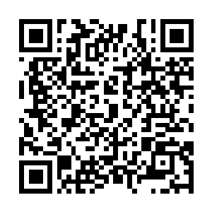 Link to your fundraiser QRCode - Fundraising