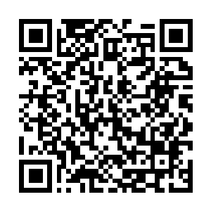 Link to your fundraiser QRCode - Fundraising