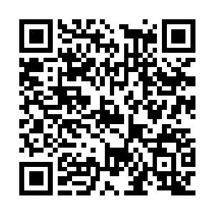 Link to your fundraiser QRCode - Fundraising
