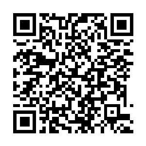 Link to your fundraiser QRCode - Fundraising