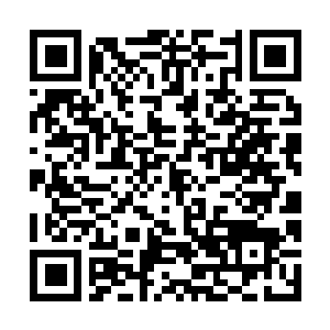 Link to your fundraiser QRCode - Fundraising