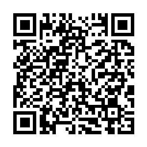 Link to your fundraiser QRCode - Fundraising