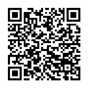 Link to your fundraiser QRCode - Fundraising