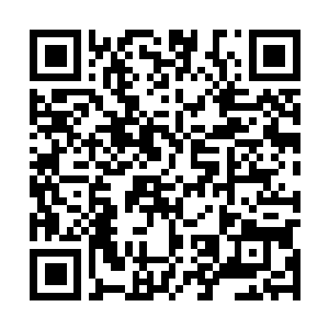 Link to your fundraiser QRCode - Fundraising
