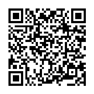 Link to your fundraiser QRCode - Fundraising