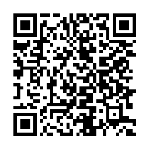 Link to your fundraiser QRCode - Fundraising