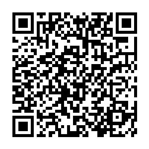 Link to your fundraiser QRCode - Fundraising