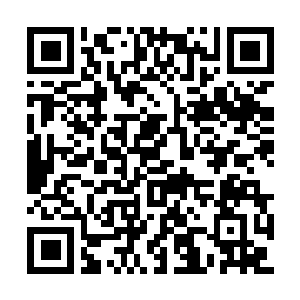 Link to your fundraiser QRCode - Fundraising