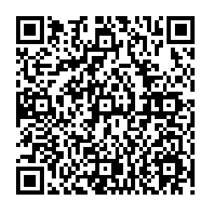 Link to your fundraiser QRCode - Fundraising
