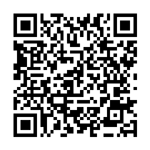 Link to your fundraiser QRCode - Fundraising